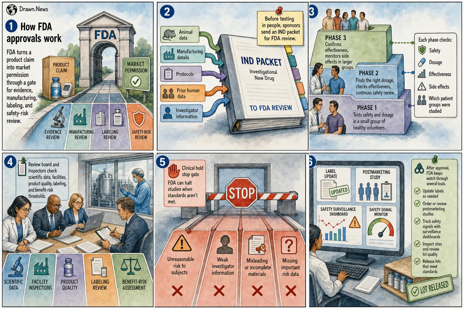 Drawn.News visual brief: How FDA Approvals Work
