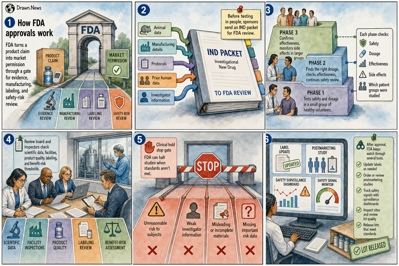 Drawn.News visual brief: How FDA Approvals Work