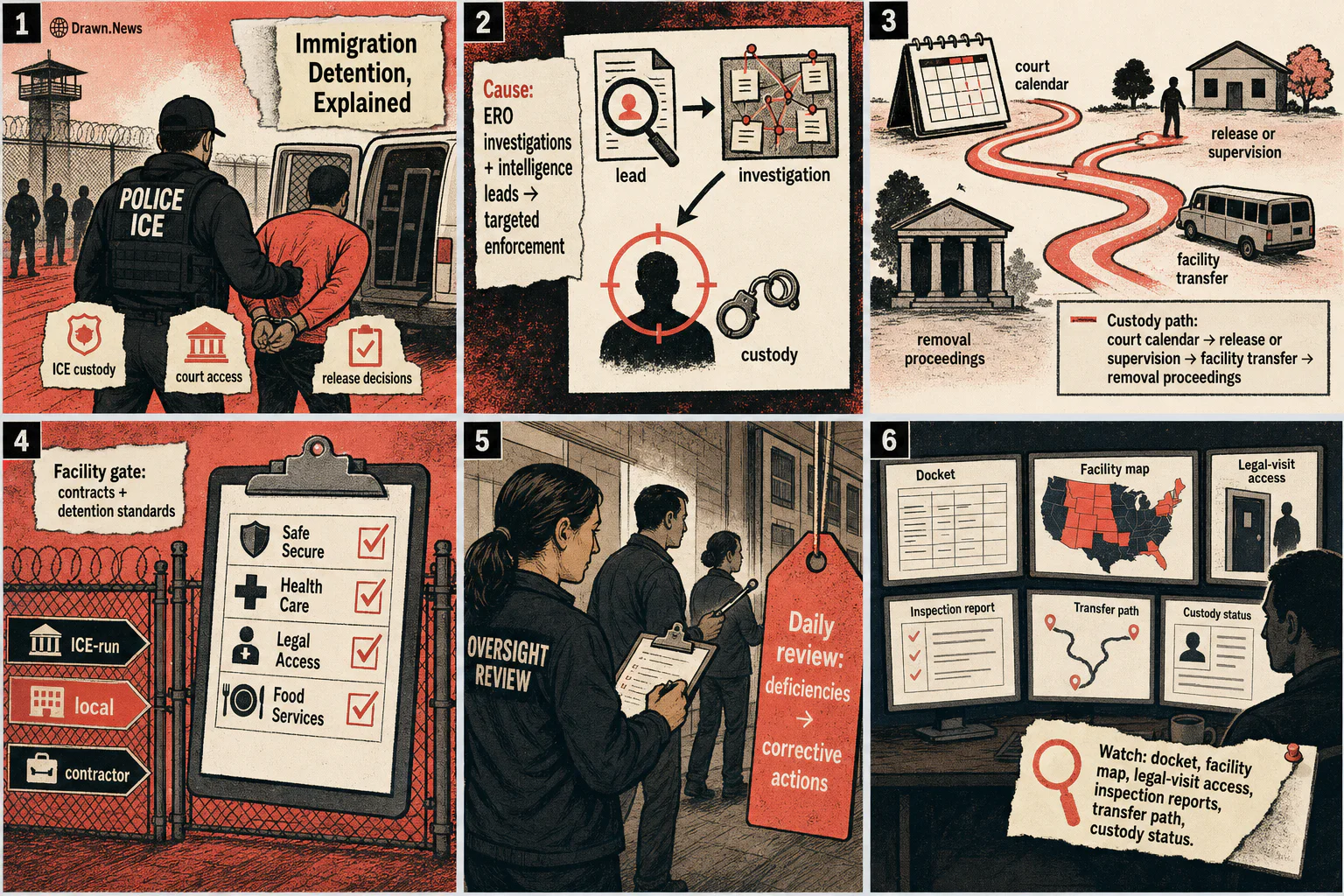 Drawn.News visual brief: How Immigration Detention Works
