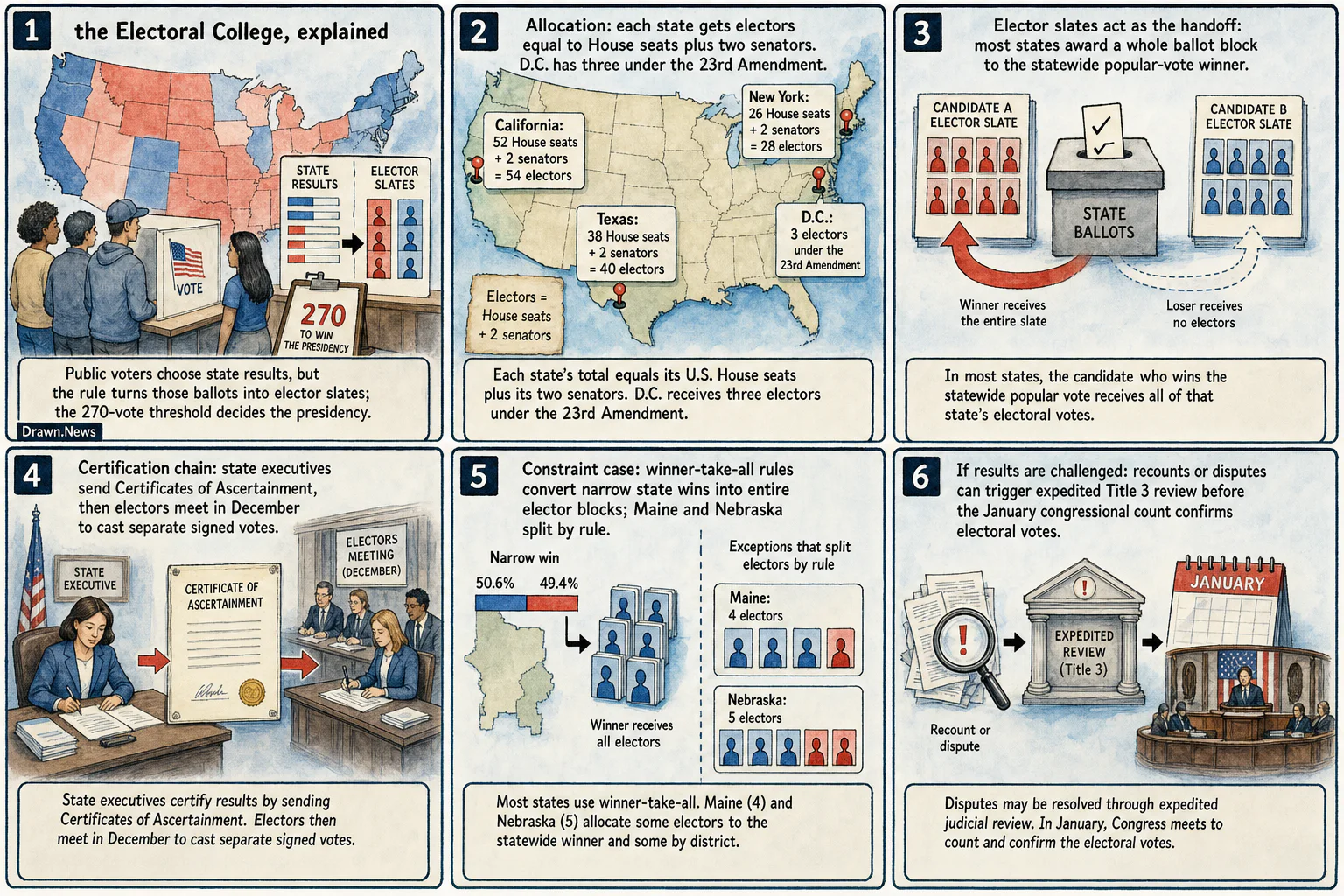 Drawn.News visual brief: How the Electoral College Works